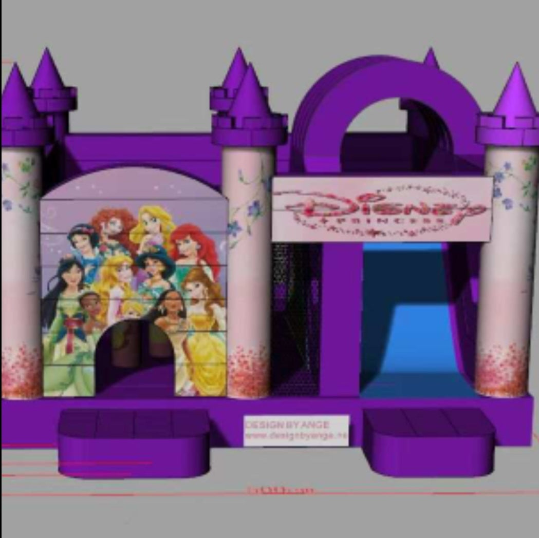 Princess bouncy castle