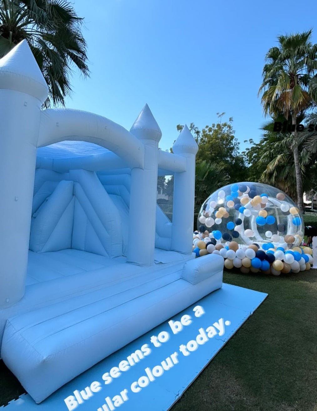 PASTEL BLUE BOUNCE HOUSE WITH SLIDE