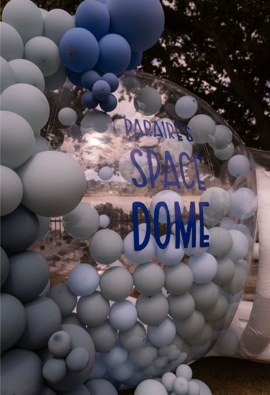 BUBBLE DOME