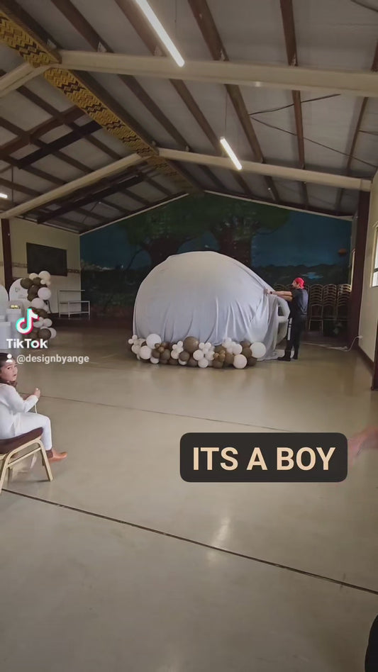 GENDER REVEAL IN BUBBLE BALLOON DOME